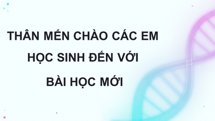 Giáo án điện tử Sinh học 12 kết nối Bài 3: Điều hoà biểu hiện gene