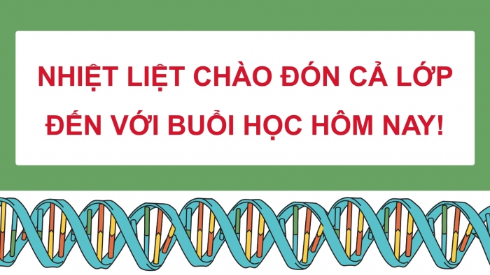 Giáo án điện tử KHTN 9 chân trời - Phân môn Sinh học Bài 37: Nucleic acid và ứng dụng