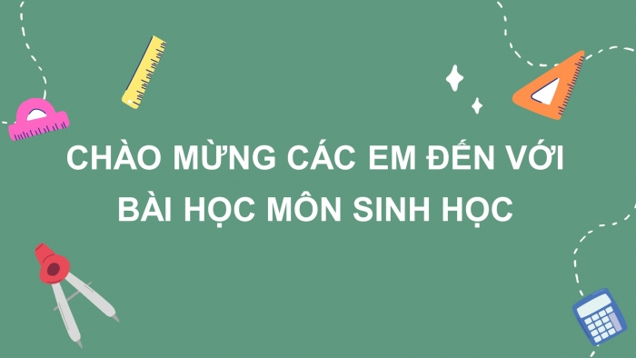 Giáo án và PPT đồng bộ Sinh học 10 chân trời sáng tạo