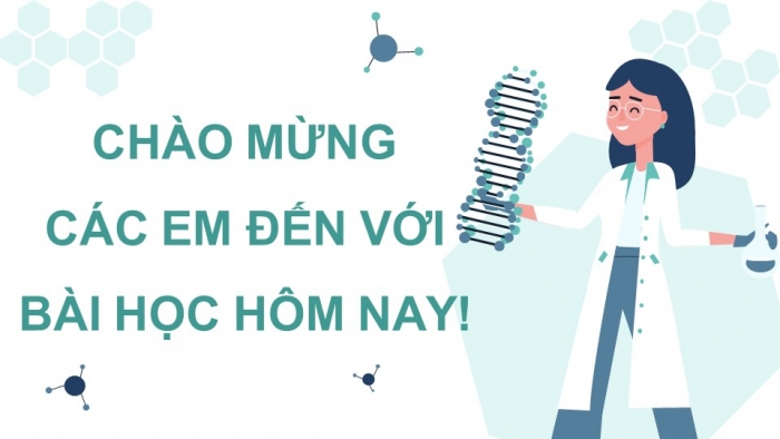 Giáo án và PPT đồng bộ Sinh học 12 kết nối tri thức