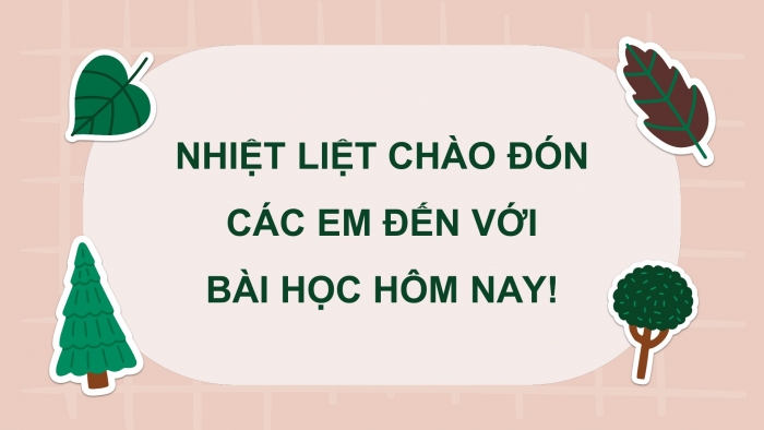 Giáo án và PPT đồng bộ Công nghệ 12 Lâm nghiệp Thuỷ sản Kết nối tri thức