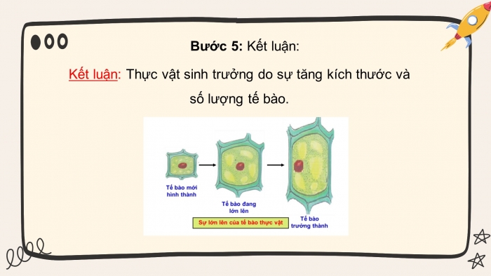 Giáo án và PPT đồng bộ Khoa học tự nhiên 7 chân trời sáng tạo