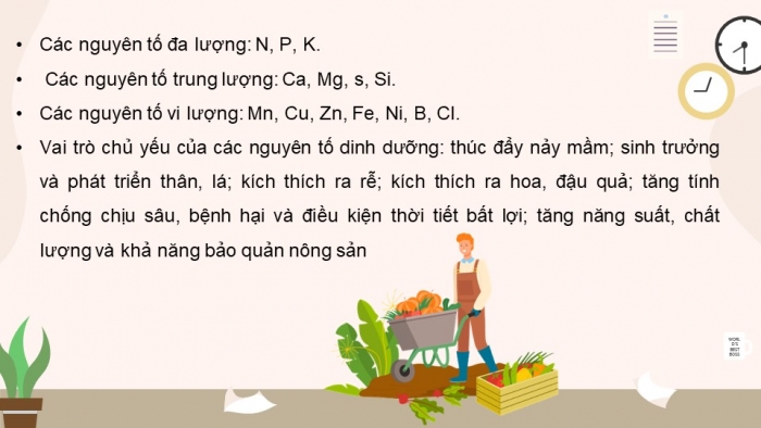 Giáo án và PPT đồng bộ Công nghệ 10 Công nghệ trồng trọt Cánh diều