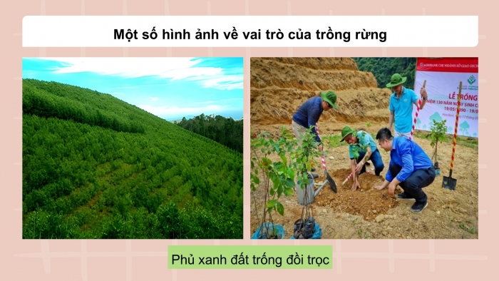 Giáo án và PPT đồng bộ Công nghệ 12 Lâm nghiệp Thuỷ sản Kết nối tri thức