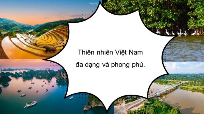 Giáo án và PPT đồng bộ Lịch sử và Địa lí 5 cánh diều