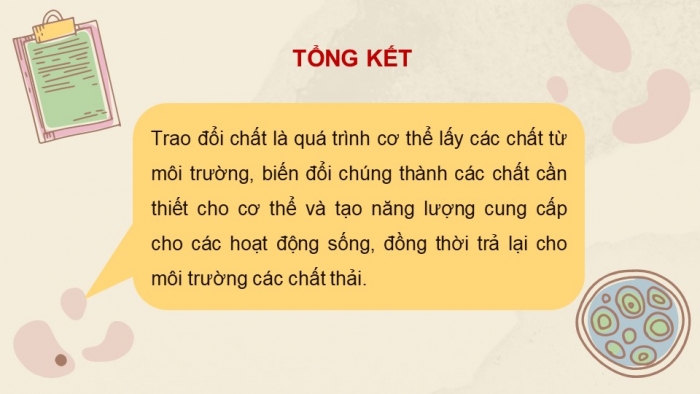 Giáo án và PPT đồng bộ Khoa học tự nhiên 7 kết nối tri thức