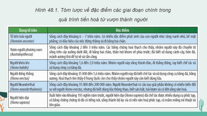 Giáo án và PPT đồng bộ Khoa học tự nhiên 9 chân trời sáng tạo