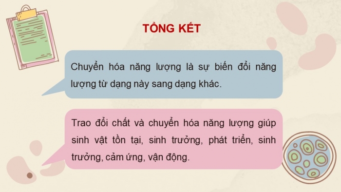 Giáo án và PPT đồng bộ Khoa học tự nhiên 7 kết nối tri thức