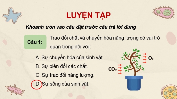 Giáo án và PPT đồng bộ Khoa học tự nhiên 7 kết nối tri thức