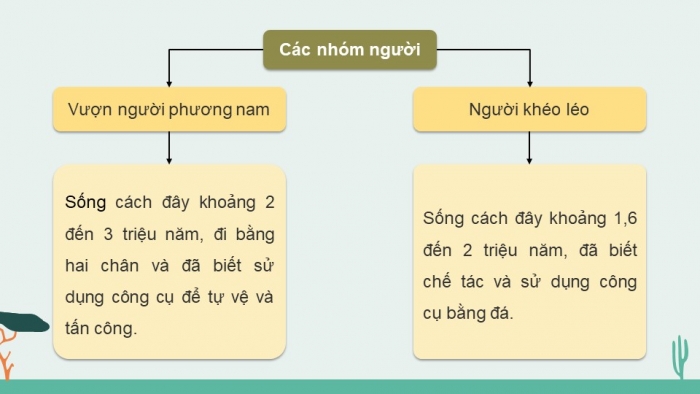 Giáo án và PPT đồng bộ Khoa học tự nhiên 9 chân trời sáng tạo