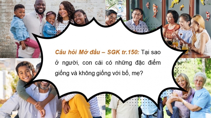 Giáo án và PPT đồng bộ Sinh học 9 chân trời sáng tạo