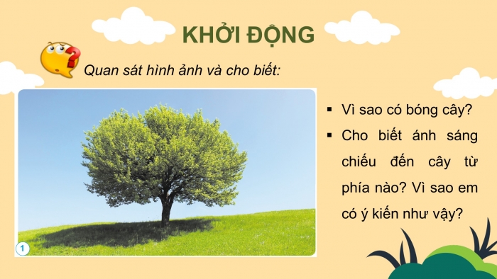 Giáo án và PPT đồng bộ Khoa học 4 cánh diều