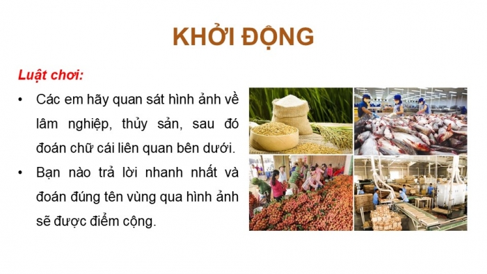 Giáo án điện tử Địa lí 9 kết nối Bài 5: Lâm nghiệp và thủy sản