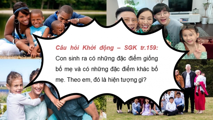 Giáo án và PPT đồng bộ Sinh học 9 kết nối tri thức