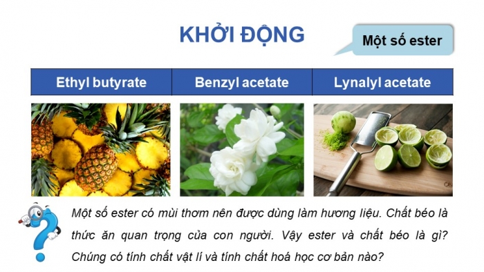 Giáo án điện tử Hoá học 12 kết nối Bài 1: Ester - Lipid