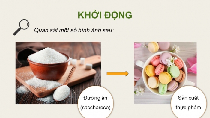 Giáo án điện tử Hoá học 12 kết nối Bài 5: Saccharose và maltose