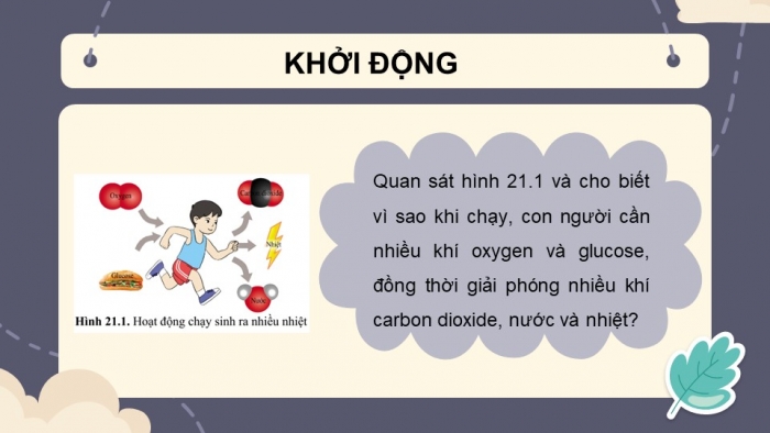 Giáo án và PPT đồng bộ Sinh học 7 cánh diều