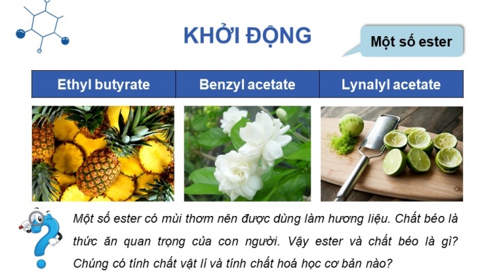 Giáo án điện tử Hóa học 12 cánh diều Bài 1: Ester - Lipid