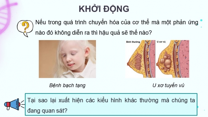 Giáo án điện tử Sinh học 12 kết nối Bài 3: Điều hoà biểu hiện gene