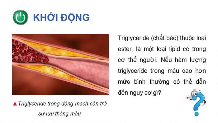 Giáo án điện tử Hoá học 12 chân trời Bài 1: Ester – Lipid