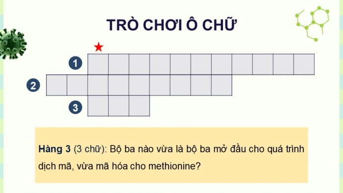 Giáo án điện tử KHTN 9 cánh diều - Phân môn Sinh học Bài 35: Nhiễm sắc thể và bộ nhiễm sắc thể