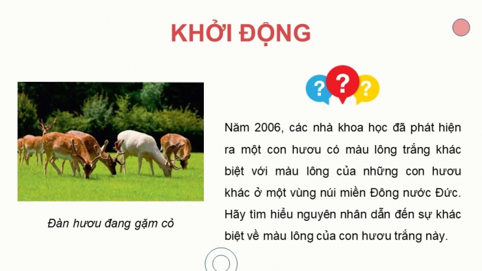 Giáo án điện tử KHTN 9 chân trời - Phân môn Sinh học Bài 38: Đột biến gene