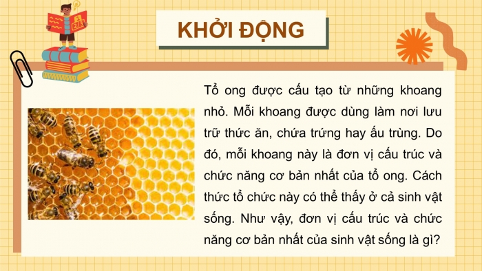 Giáo án và PPT đồng bộ Sinh học 10 cánh diều