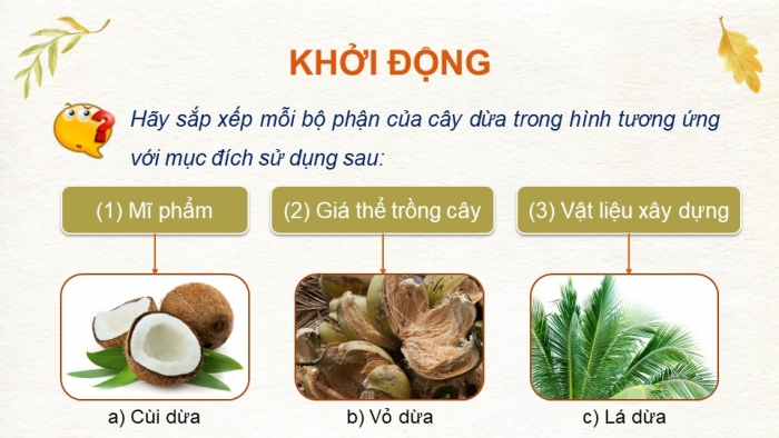 Giáo án và PPT đồng bộ Công nghệ 9 Trồng cây ăn quả Cánh diều