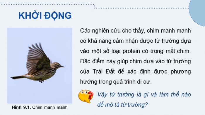 Giáo án và PPT đồng bộ Vật lí 12 chân trời sáng tạo