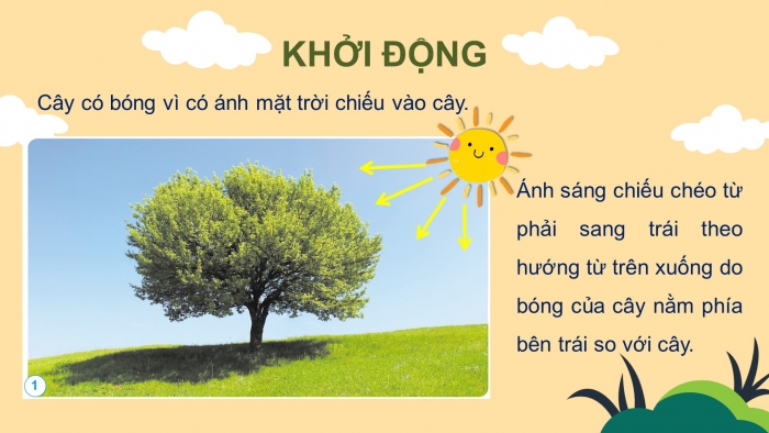 Giáo án và PPT đồng bộ Khoa học 4 cánh diều