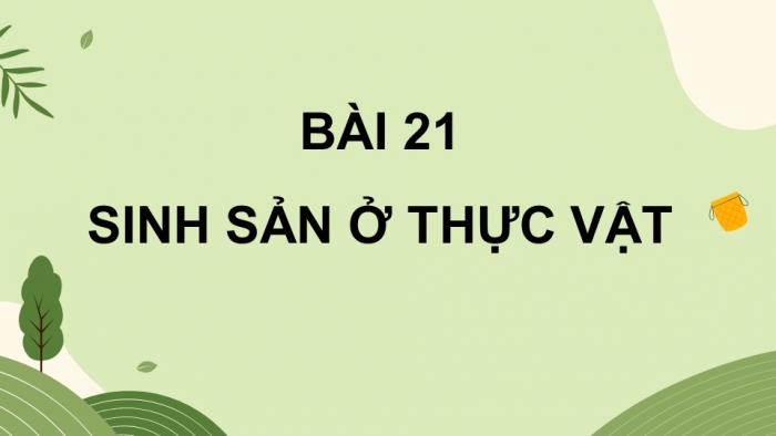 Giáo án và PPT đồng bộ Sinh học 11 cánh diều