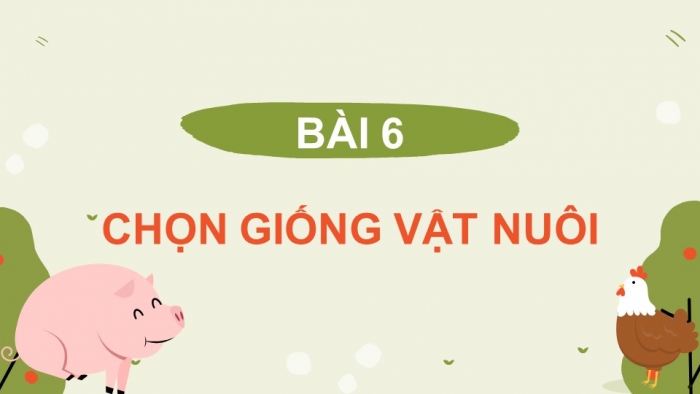 Giáo án và PPT đồng bộ Công nghệ 11 Công nghệ chăn nuôi Cánh diều