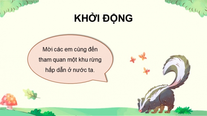 Giáo án điện tử Tiếng Việt 5 chân trời Bài 5: Viết đoạn văn cho bài văn tả phong cảnh