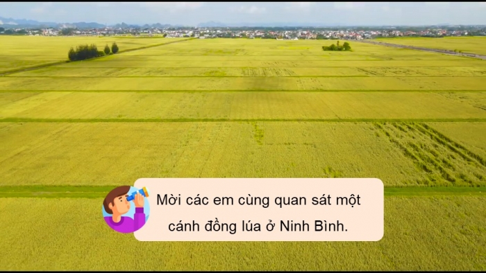 Giáo án điện tử Tiếng Việt 5 chân trời Bài 7: Bức tranh đồng quê