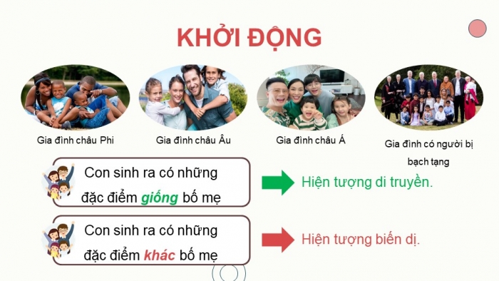 Giáo án và PPT đồng bộ Sinh học 9 kết nối tri thức