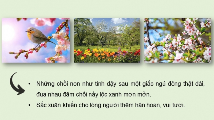 Giáo án điện tử Ngữ văn 9 chân trời Bài 1: Mùa xuân nho nhỏ (Thanh Hải)