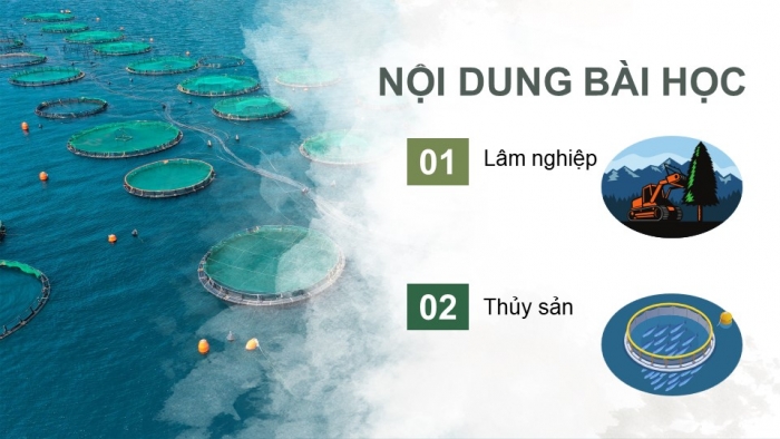 Giáo án điện tử Địa lí 9 kết nối Bài 5: Lâm nghiệp và thủy sản (bổ sung)