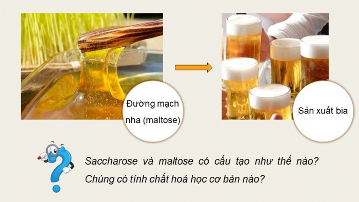 Giáo án điện tử Hoá học 12 kết nối Bài 5: Saccharose và maltose