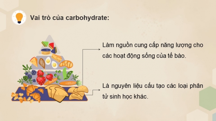 Giáo án điện tử Hoá học 12 kết nối Bài 4: Giới thiệu về carbohydrate. Glucose và fructose