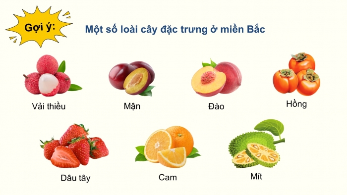 Giáo án điện tử Địa lí 12 cánh diều Bài 4: Thực hành Trình bày báo cáo về sự phân hóa tự nhiên Việt Nam