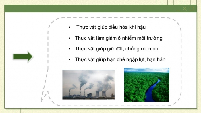 Giáo án và PPT đồng bộ Sinh học 7 chân trời sáng tạo