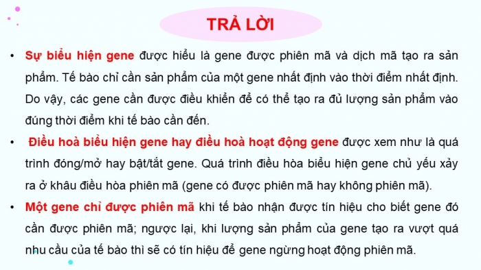 Giáo án điện tử Sinh học 12 kết nối Bài 3: Điều hoà biểu hiện gene