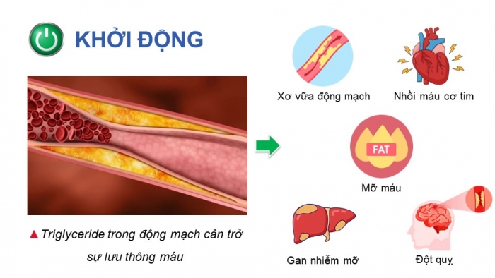 Giáo án điện tử Hoá học 12 chân trời Bài 1: Ester – Lipid