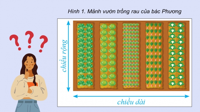 Giáo án điện tử Tin học 5 cánh diều Chủ đề C1 Bài 1: Thu thập và tìm kiếm thông tin trong giải quyết vấn đề