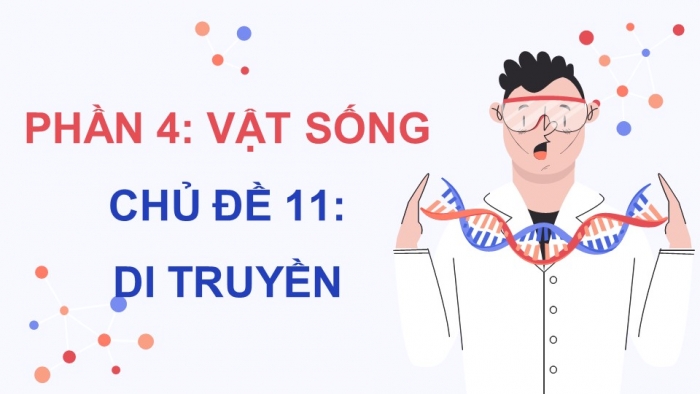 Giáo án điện tử KHTN 9 cánh diều - Phân môn Sinh học Bài 33: Gene là trung tâm của di truyền học