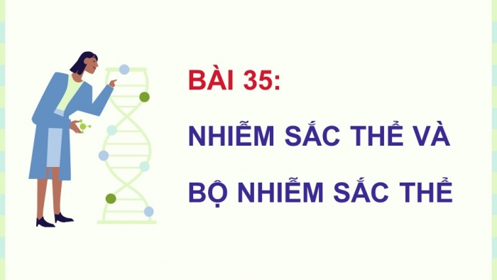 Giáo án điện tử KHTN 9 cánh diều - Phân môn Sinh học Bài 35: Nhiễm sắc thể và bộ nhiễm sắc thể