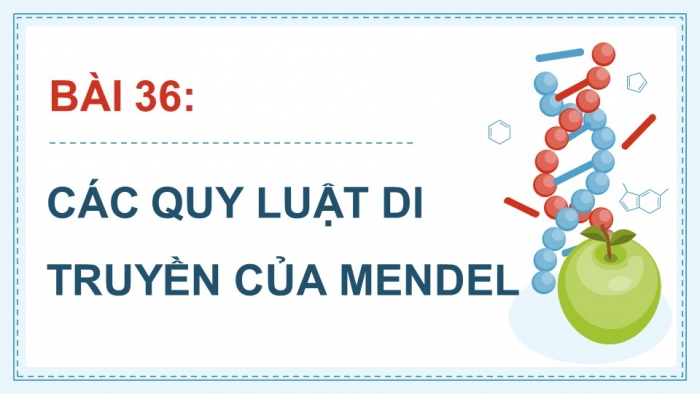 Giáo án điện tử KHTN 9 chân trời - Phân môn Sinh học Bài 36: Các quy luật di truyền của Mendel