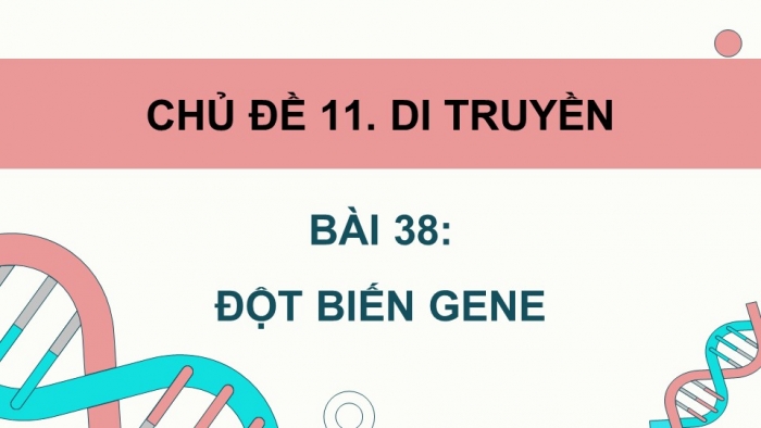 Giáo án điện tử KHTN 9 chân trời - Phân môn Sinh học Bài 38: Đột biến gene