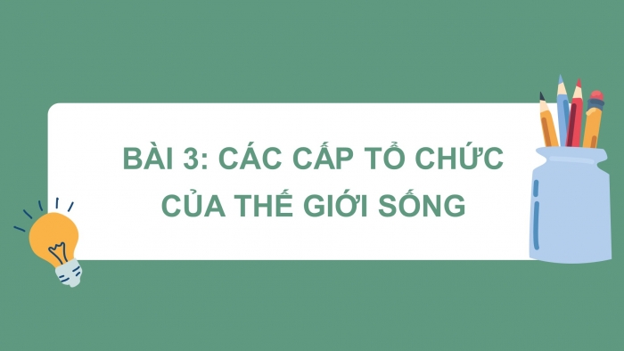 Giáo án và PPT đồng bộ Sinh học 10 chân trời sáng tạo