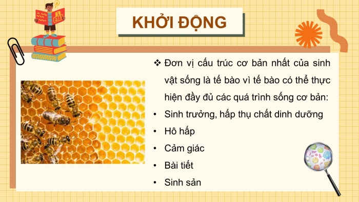 Giáo án và PPT đồng bộ Sinh học 10 cánh diều